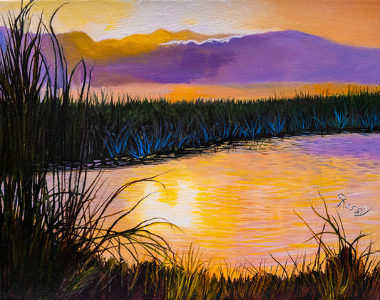 Everglades Marsh Sunset